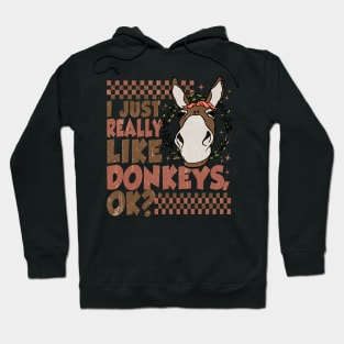 I Just Really Like Donkeys, Ok? Funny Hoodie